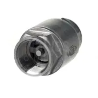 Stainless Steel Spring Check Valve High Pressure Screwed BSP - 2