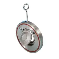 Stainless Steel Swing Check Valve Wafer Pattern - 0