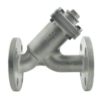 Stainless Steel Y Type Strainer Flanged - 1