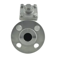 Stainless Steel Y Type Strainer Flanged - 2