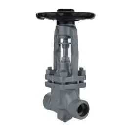 ARI FABA Plus Socket Weld Bellows Sealed Globe Valve