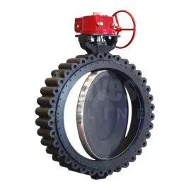 Bray Series 41R High Performance Butterfly Valve for Sugar Industry