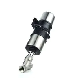 Burkert Type 8802 Angle Seat Continuous Control Valve System