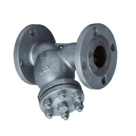 Cast Steel Y Strainer ANSI Class 300