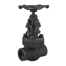 Forged Steel Globe Valve Class 800