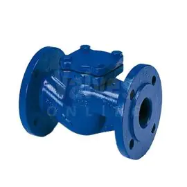 PN25 Nodular Iron ARI CHECKO-V Check Valve
