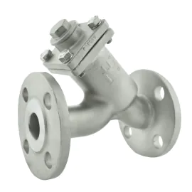 Stainless Steel Y Type Strainer Flanged