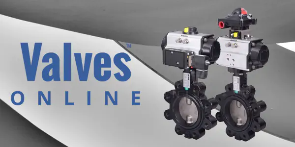 Economy Actuated Valves
