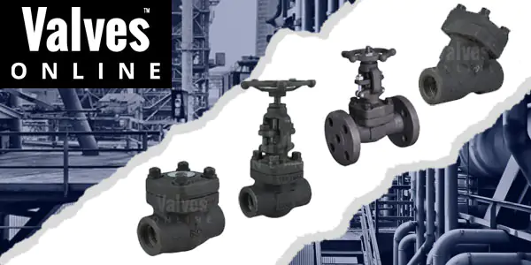 Class 800 Forged Steel Valves