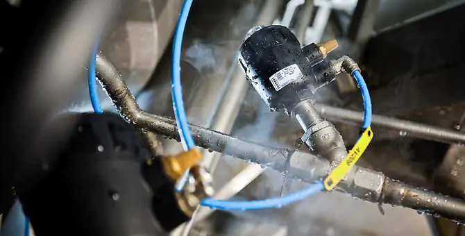 Burkert Type 2000 - Case Study - Jamaican Patties