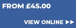 View Online