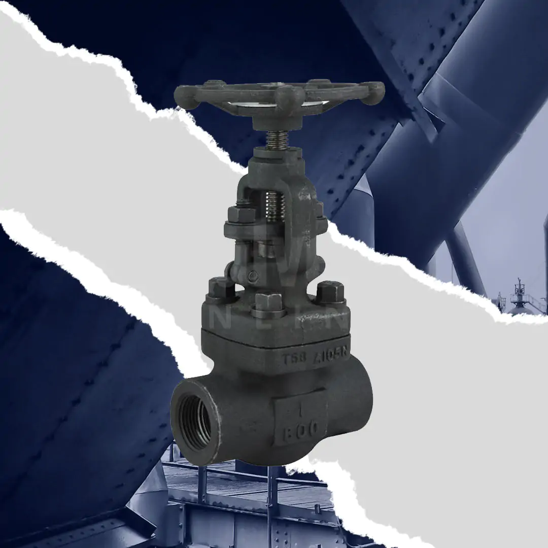Forged Steel Globe Valve Class 800
