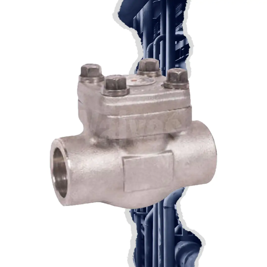 Class 800 Forged Stainless Steel 316L Piston Check Valve