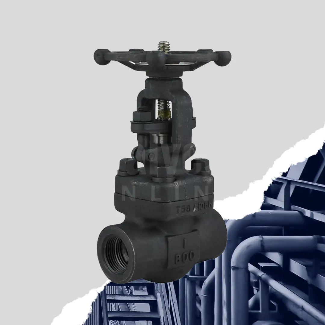 Gate Valve Class 800