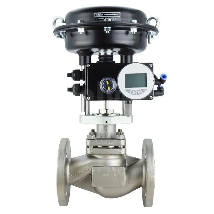 Globe control valves
