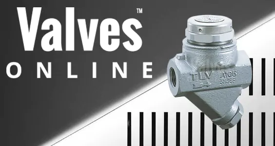TLV Thermodynamic Steam Traps
