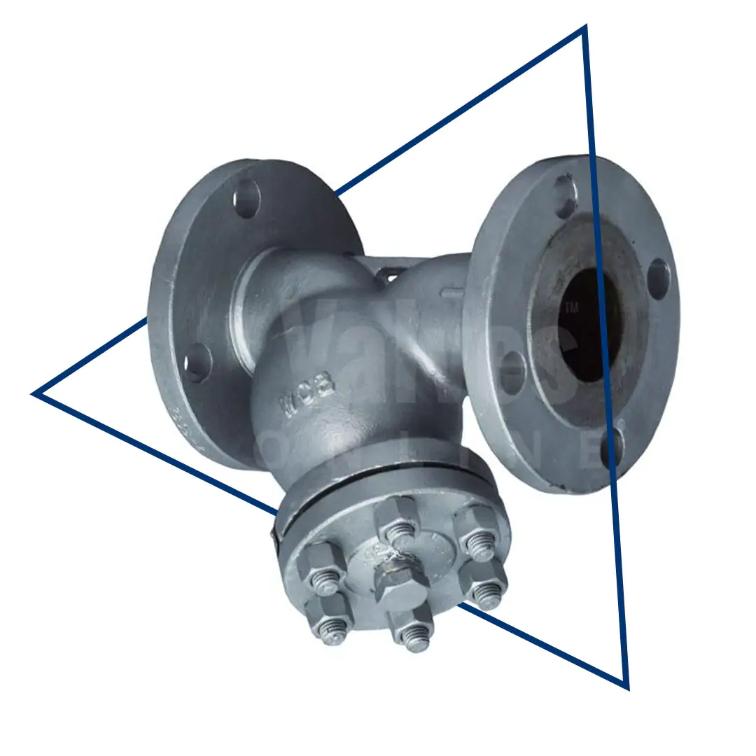 Y Strainer Class 300