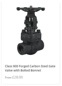 Class 800 Gate Valve