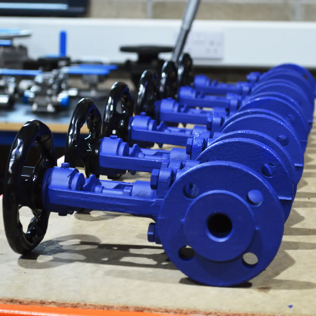 DN20 ARI Fig 12.046 FABA Plus Globe Valves