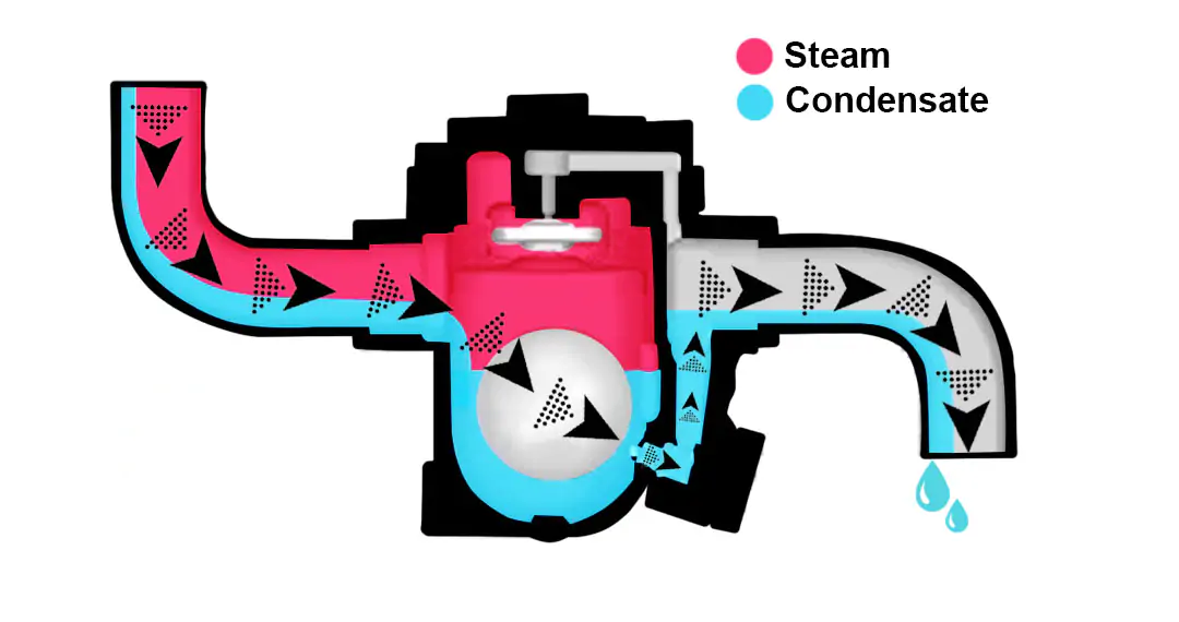steam trap