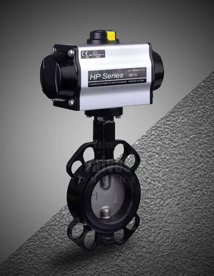 Economy valve