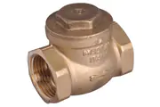 Swing Check Valve