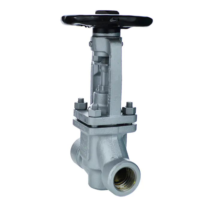 ARI FABA Plus Socket Weld Stop Valve for Steam - Bellows Sealed